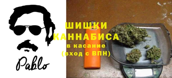 индика Нефтекумск