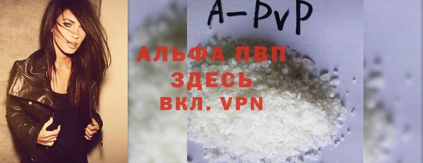 индика Нефтекумск