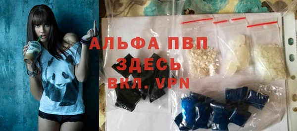 индика Нефтекумск