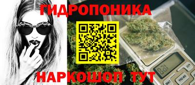 мдпв Пушкино