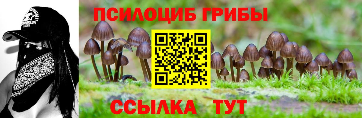 Псилоцибиновые грибы GOLDEN TEACHER  Вход с VPN  Галлюциногенные грибы ЛСД  Топки 